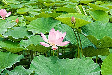 《最终幻想7：重生》导演：目标是全球观众 会进行彻底的道德审查